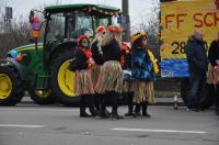 FF_Faschingszug_15_02_2015-7